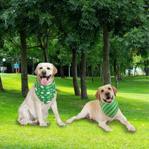 Lucky Dog Bandana Spring -1 Pack, Premium Durable Triangle Reversible Dog Scarf, - Picture 4 of 4